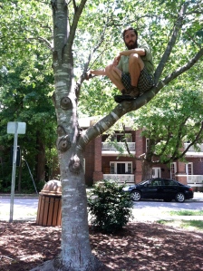 Sort of like climbing a tree, too.